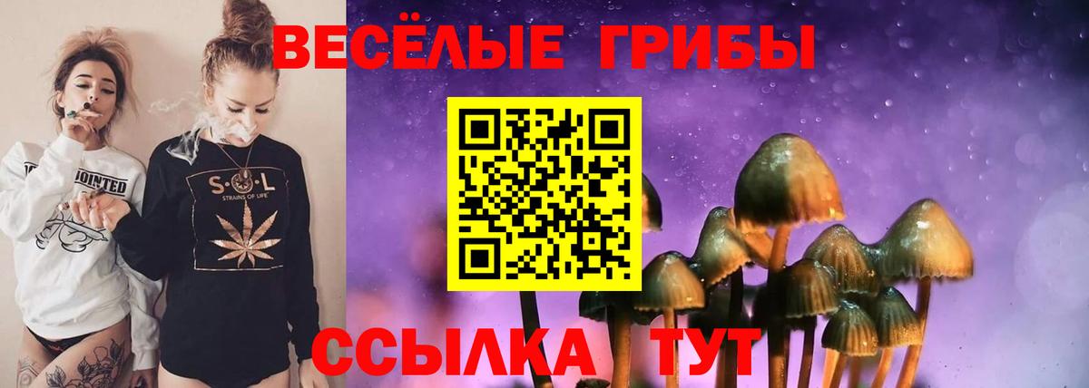 Псилоцибиновые грибы ЛСД  Вход с VPN  Топки  Галлюциногенные грибы MAGIC MUSHROOMS 